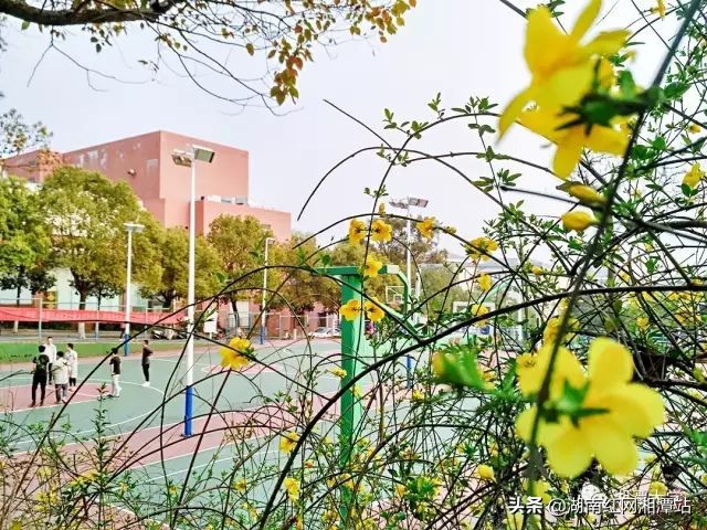 湘潭大学图,湘潭大学是湘大校友最多的大学