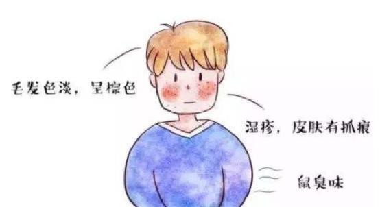 基因改造噬菌体,基因编辑疗法对人类疗效首次证明