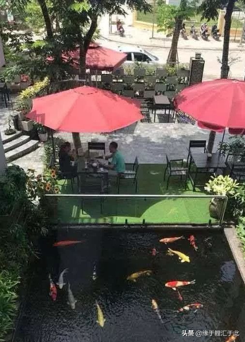 常见药用消毒液,常用的皮肤消毒液有哪些