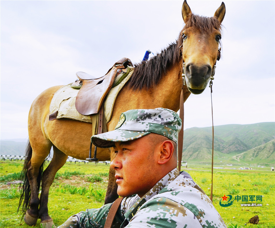 雪山见证，这是草原九班的“牧马青春”
