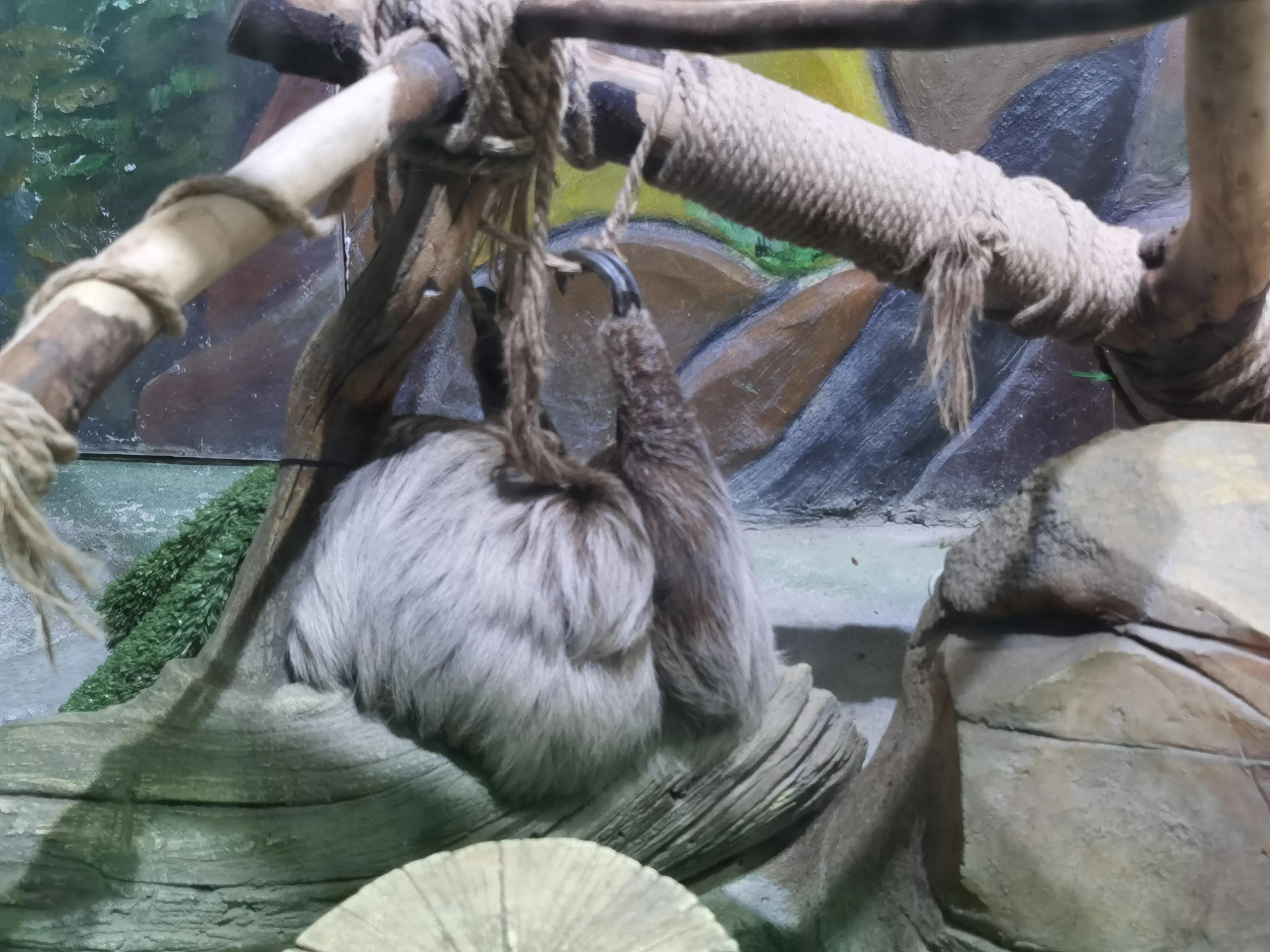 华夏文旅5d飞越丝路观看需要多久,西安华夏文旅丝路飞跃