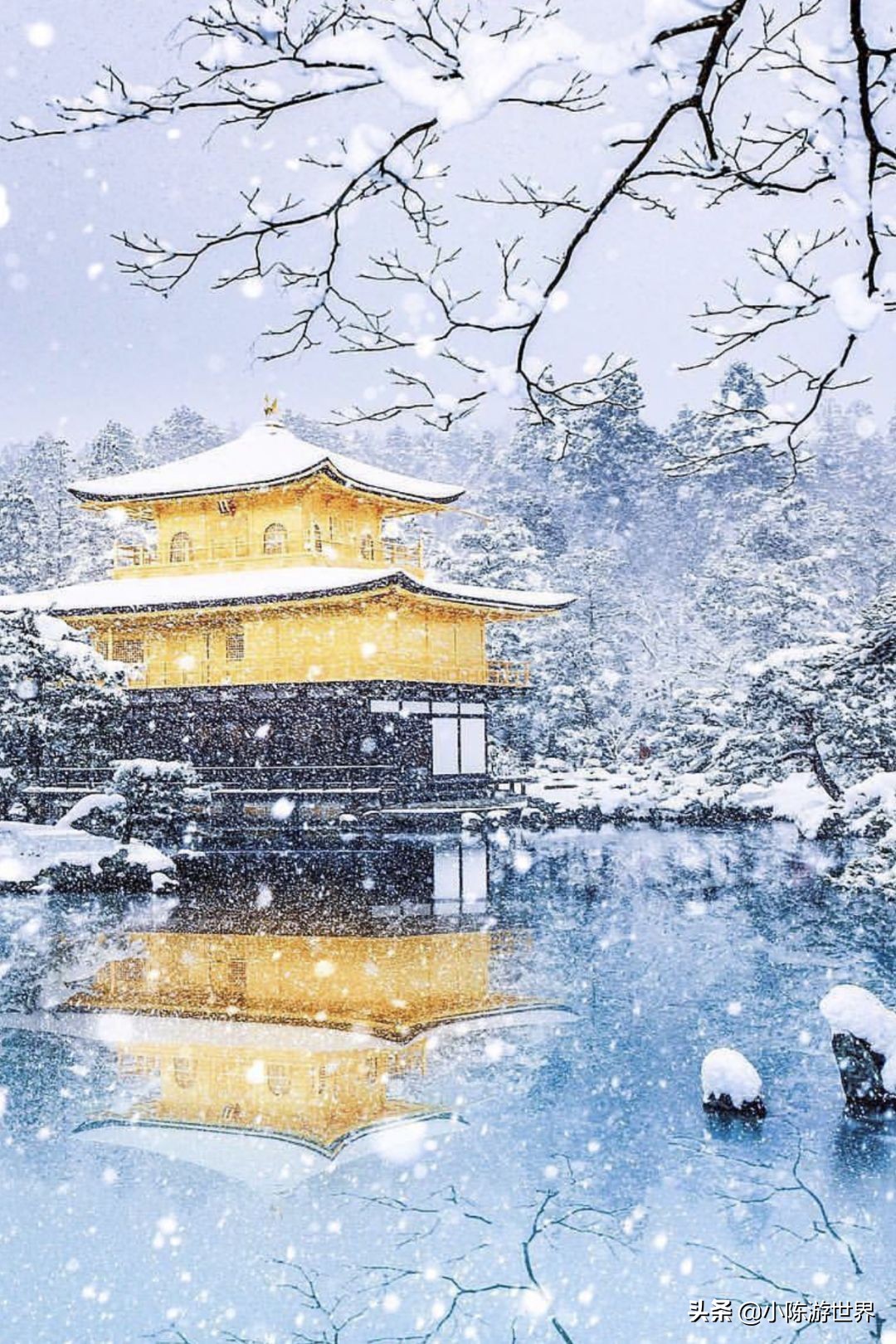 日本赴华旅行,日本赴中国旅游