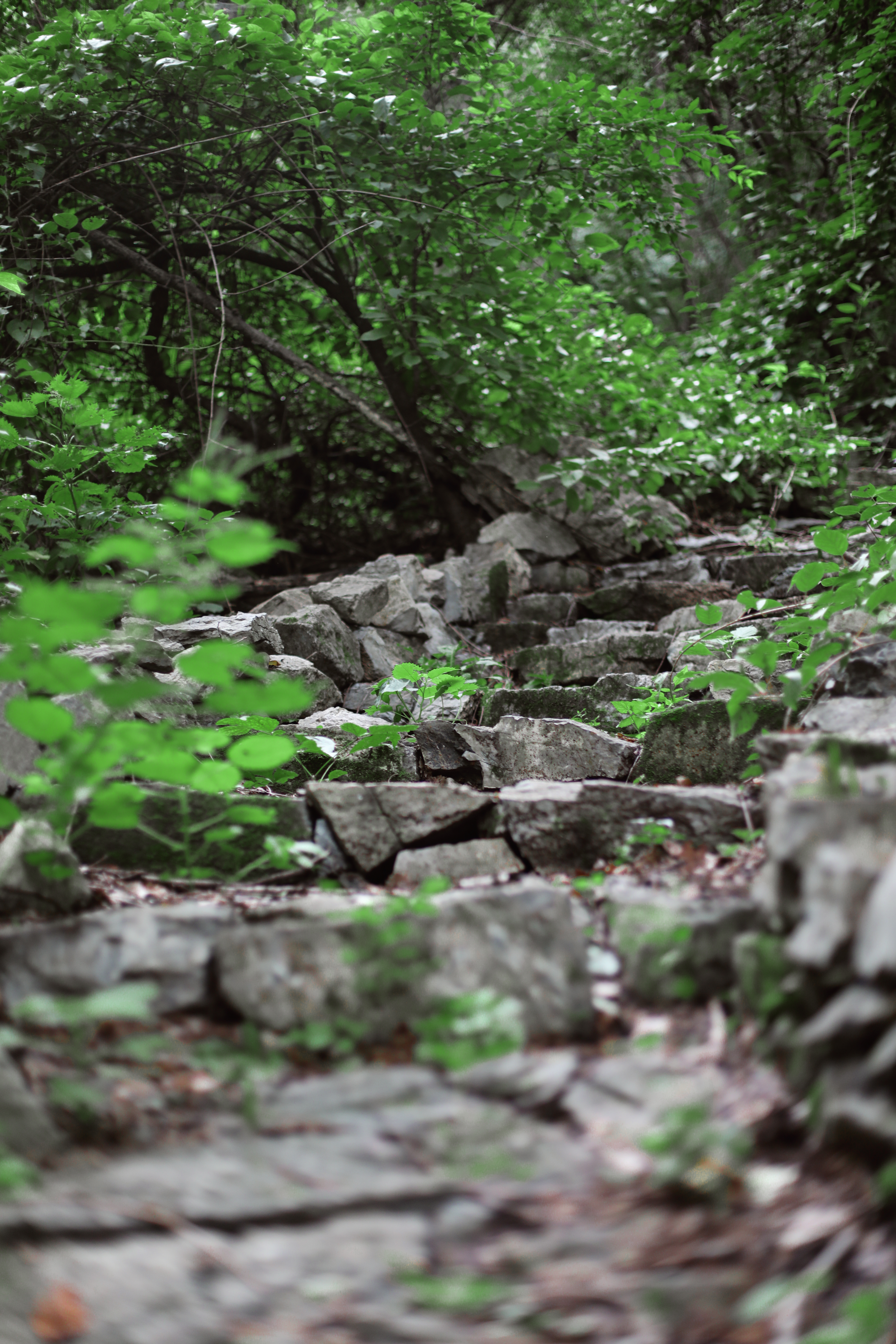 京郊十条登山步道推荐,房山蝴蝶谷登山步道