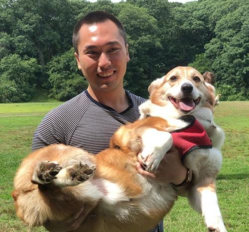 盘点柯基犬的缺点养之前得先知道,建议养柯基犬的四个理由