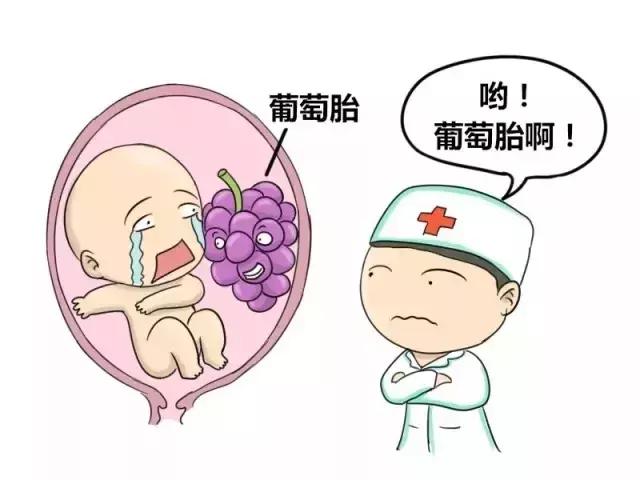 什么是葡萄胎做b超看出来吗,什么是葡萄胎形成原因是什么