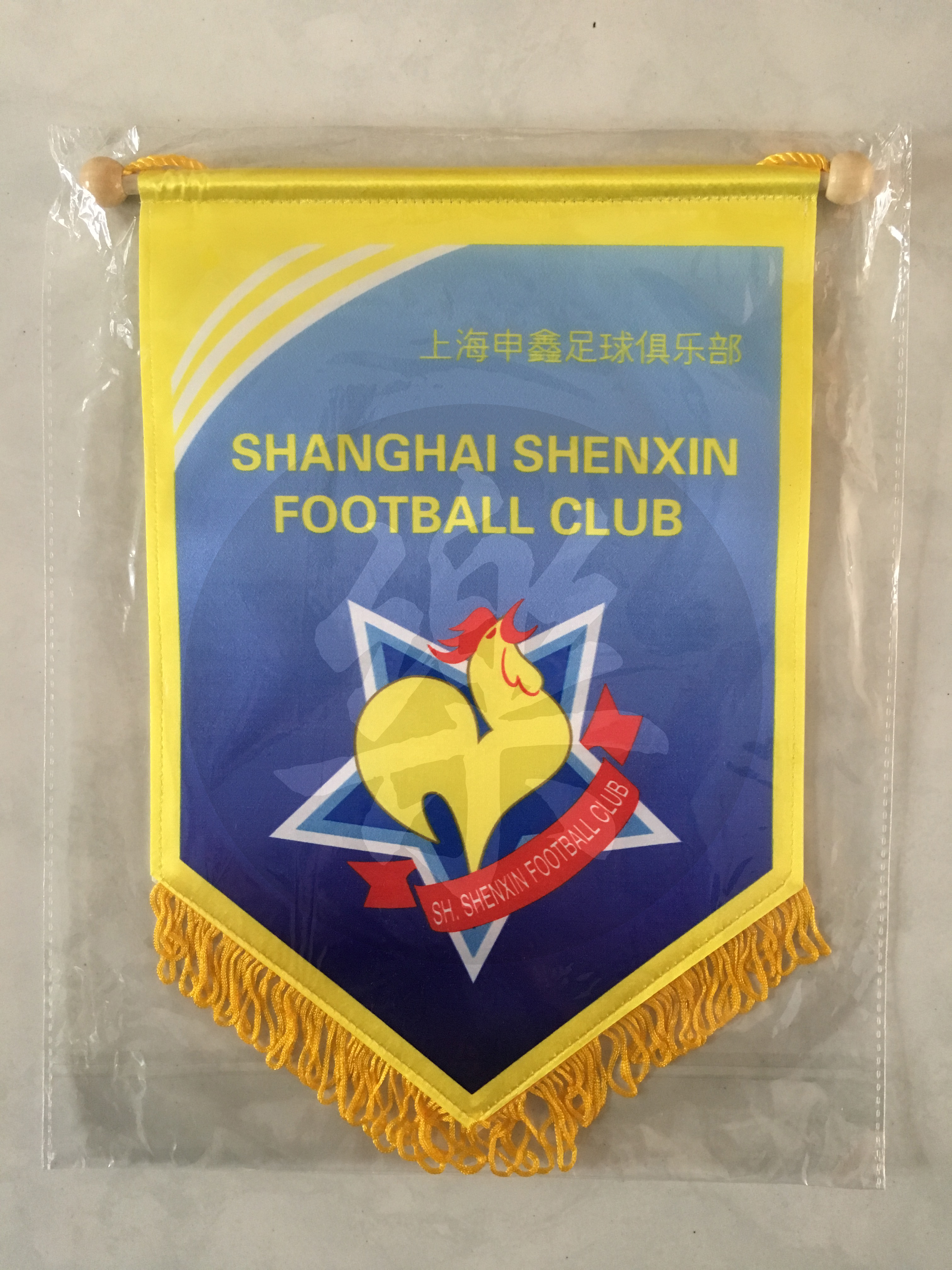 上海申鑫足球俱乐部球衣,上海申鑫足球俱乐部简介