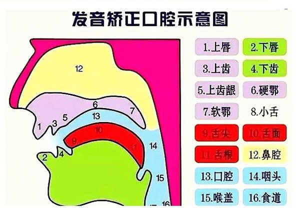 说话晚、说不清...如何改善宝宝语言发育难题？（内附专家建议）