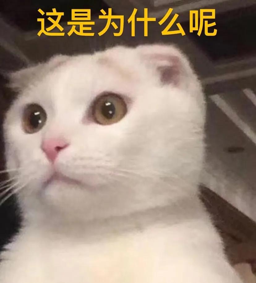 路边随便采野花,路边哪些草可以当猫草