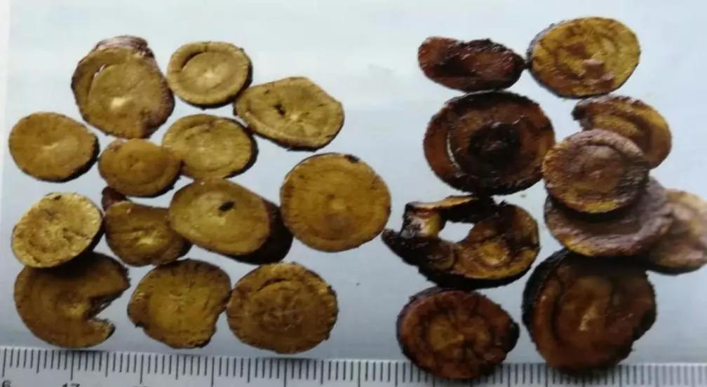 黄芪15克仙鹤草10克泡水喝作用,经常喝黄芪煮水有什么好处