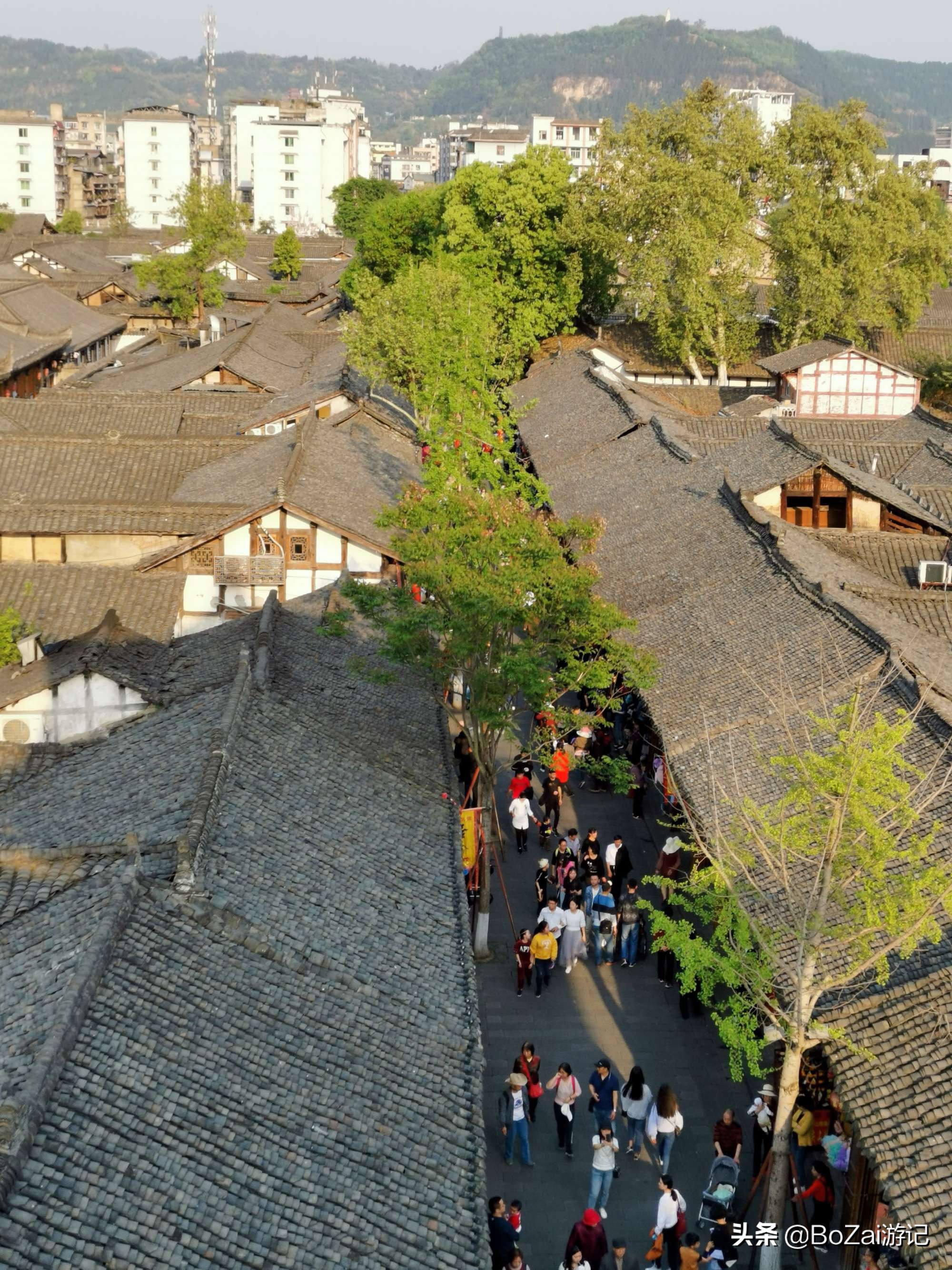 去四川南充都有哪些好耍的,南充市区最好的景点排名前十