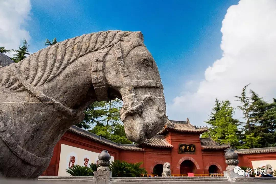 洛阳向全球推介,洛阳向世界发出邀请