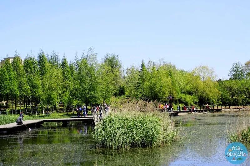 大连森林花海,大连花海旅游攻略
