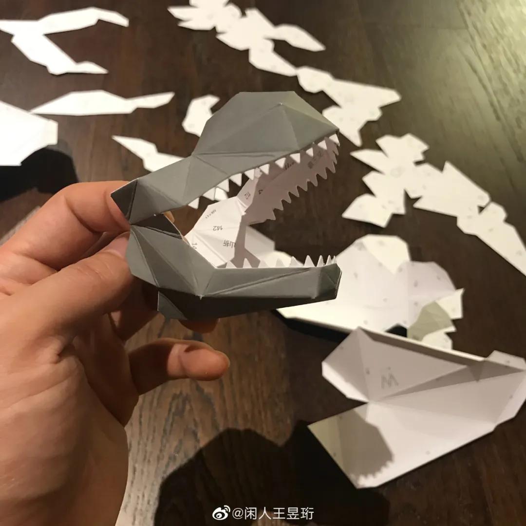 最强大脑王昱珩清华毕业后不上班,王昱珩上学经历