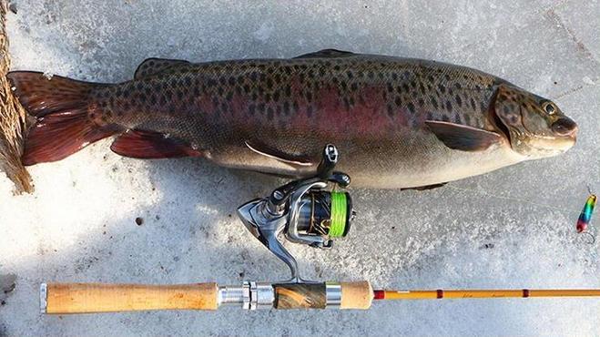 百元以内最良心的路亚竿,千元级路亚马口竿