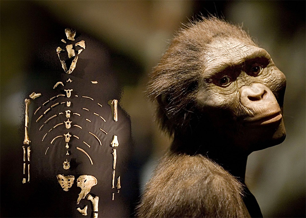 人都是女性生的，在人类出现前，世界上第一个女性是从哪里来的？