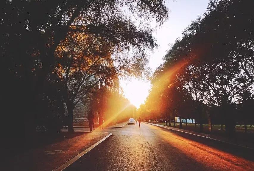 沈阳理工大学辽宁工程技术大学,沈阳理工大学专科院校