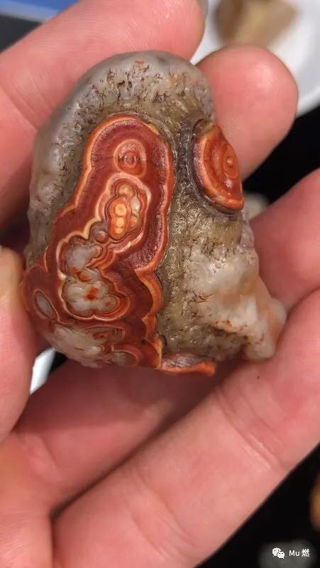 品石之路48章免费阅读,品石之路小说第43章