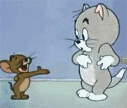 最近很火的gif短视频怎么做的,如何截取视频制作gif图片