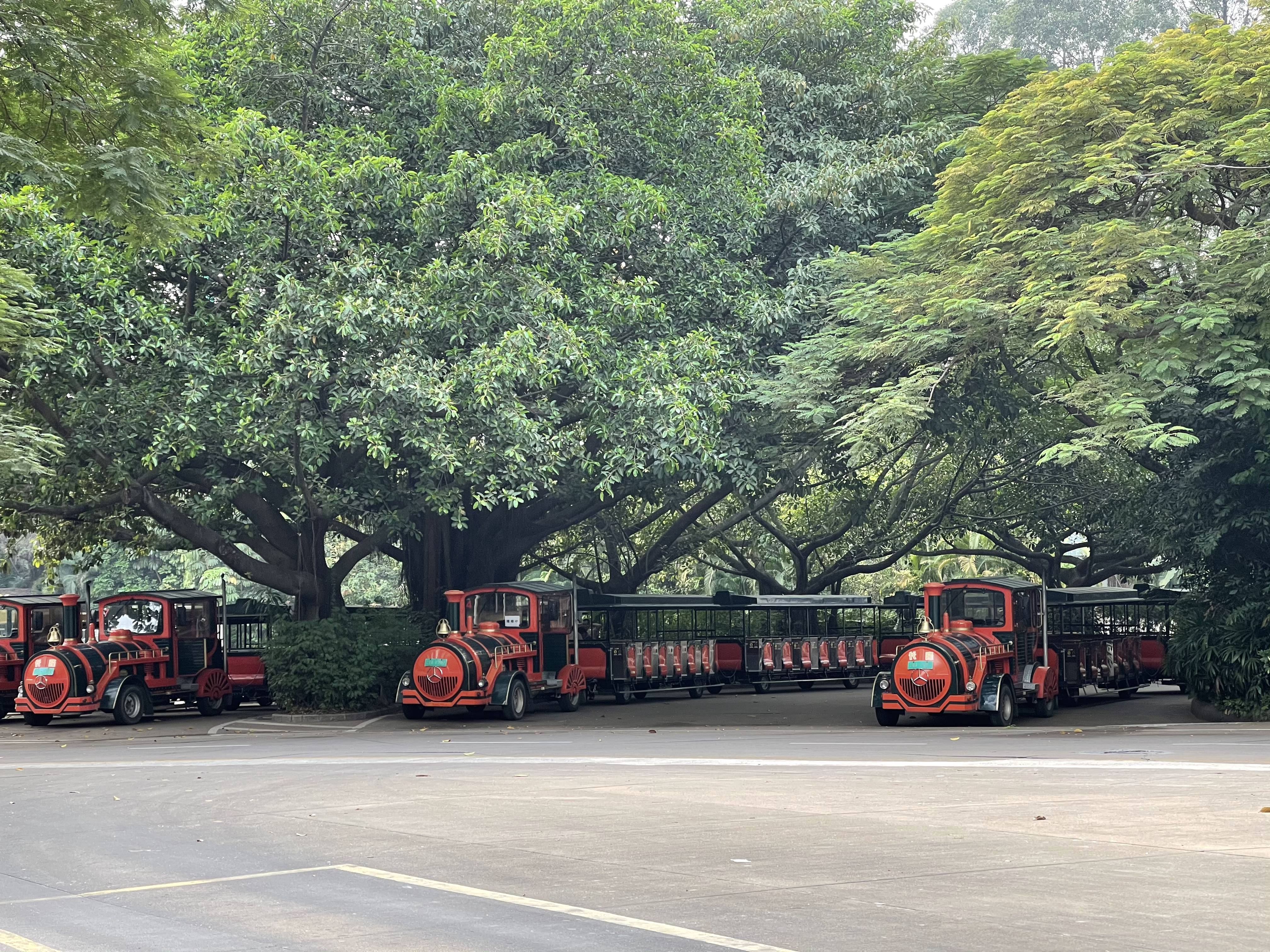 广州长隆野生动物园游玩攻略最新,长隆野生动物园亲子游三天