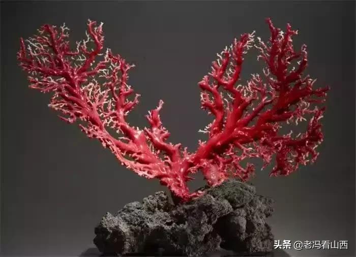 什么文玩不能碰手,这几样文玩千万不要碰