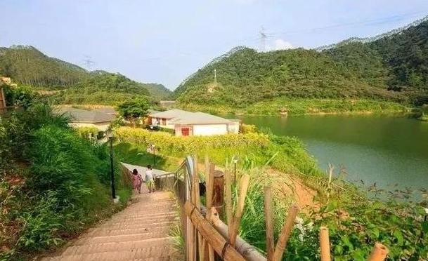 清远最美民宿和十大精品民宿,藏在清远深山老林的世外桃源民宿