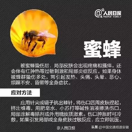 安医大二附院最新消息今天,安医大二附院住院部最新消息