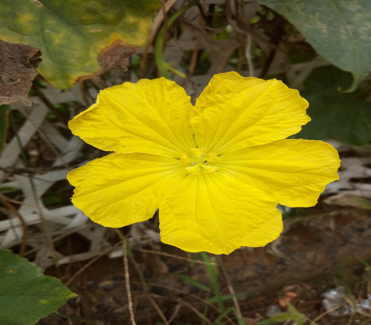 阅读感悟人生感言,阅读经典丰富人生的感受和收获
