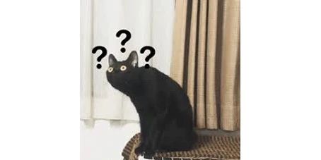 猫砂丢干垃圾还是湿垃圾,猫砂和猫屎可以扔垃圾桶吗