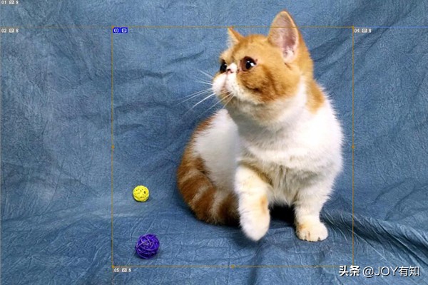 ps如何用切片工具切片,ps切片怎么移动位置