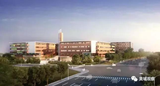 广州黄埔长岭居小学最新消息,黄埔长岭居学校