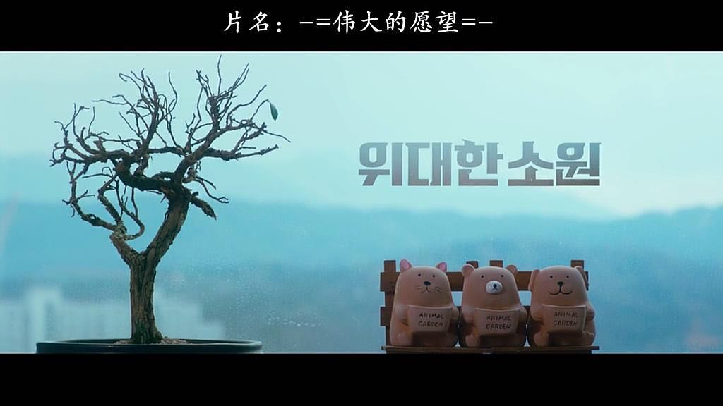 伟大的愿望韩版观看,韩版伟大的愿望免费完整版