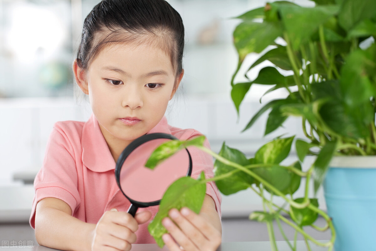 看了复旦教授的“学渣”儿子才知道，为人父母还是得认命
