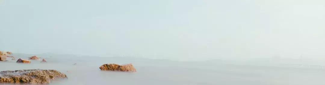 深圳湾公园这里有什么好吃的,深圳湾在哪里