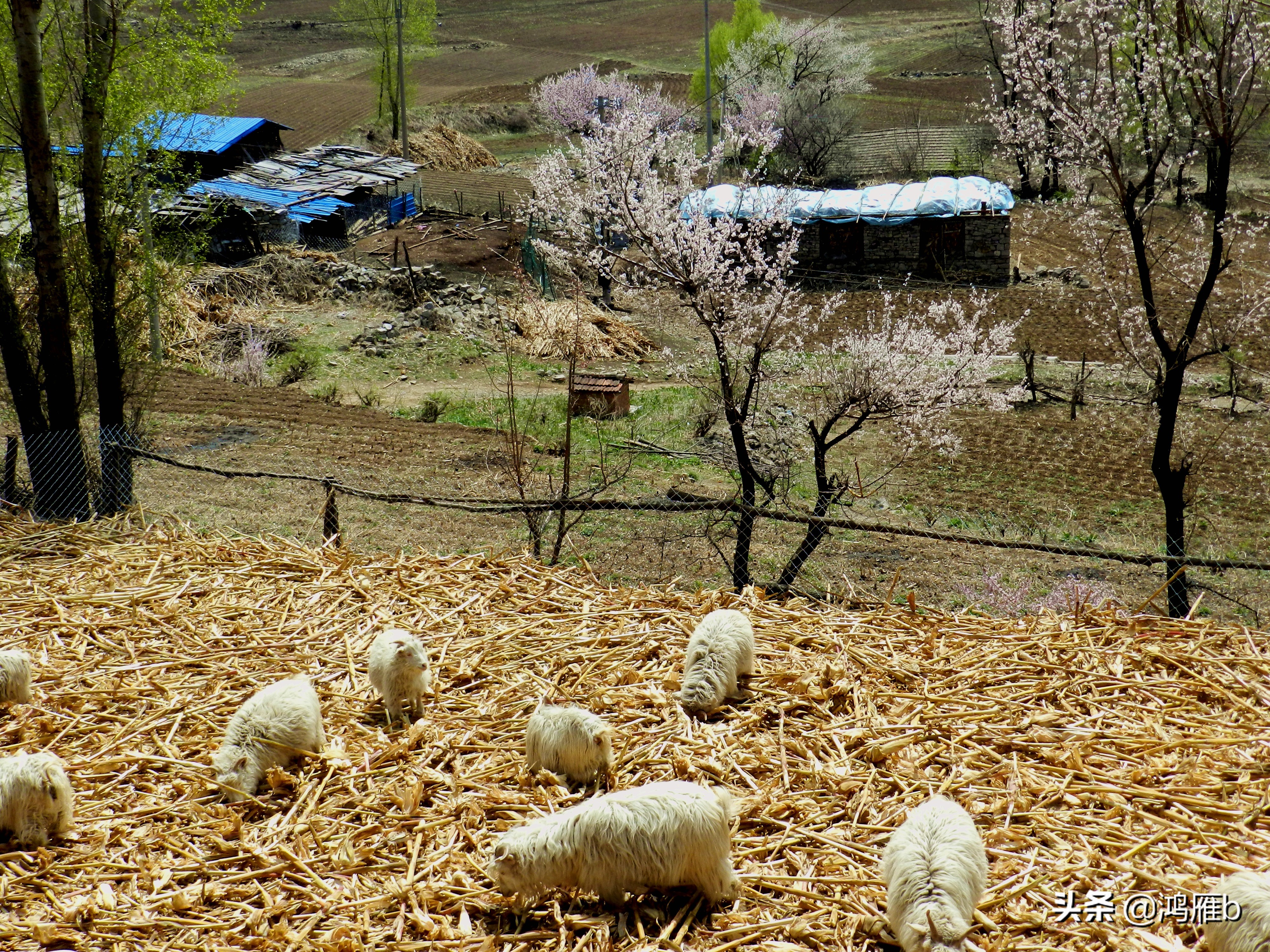 本溪小众秘境,本溪神秘山村
