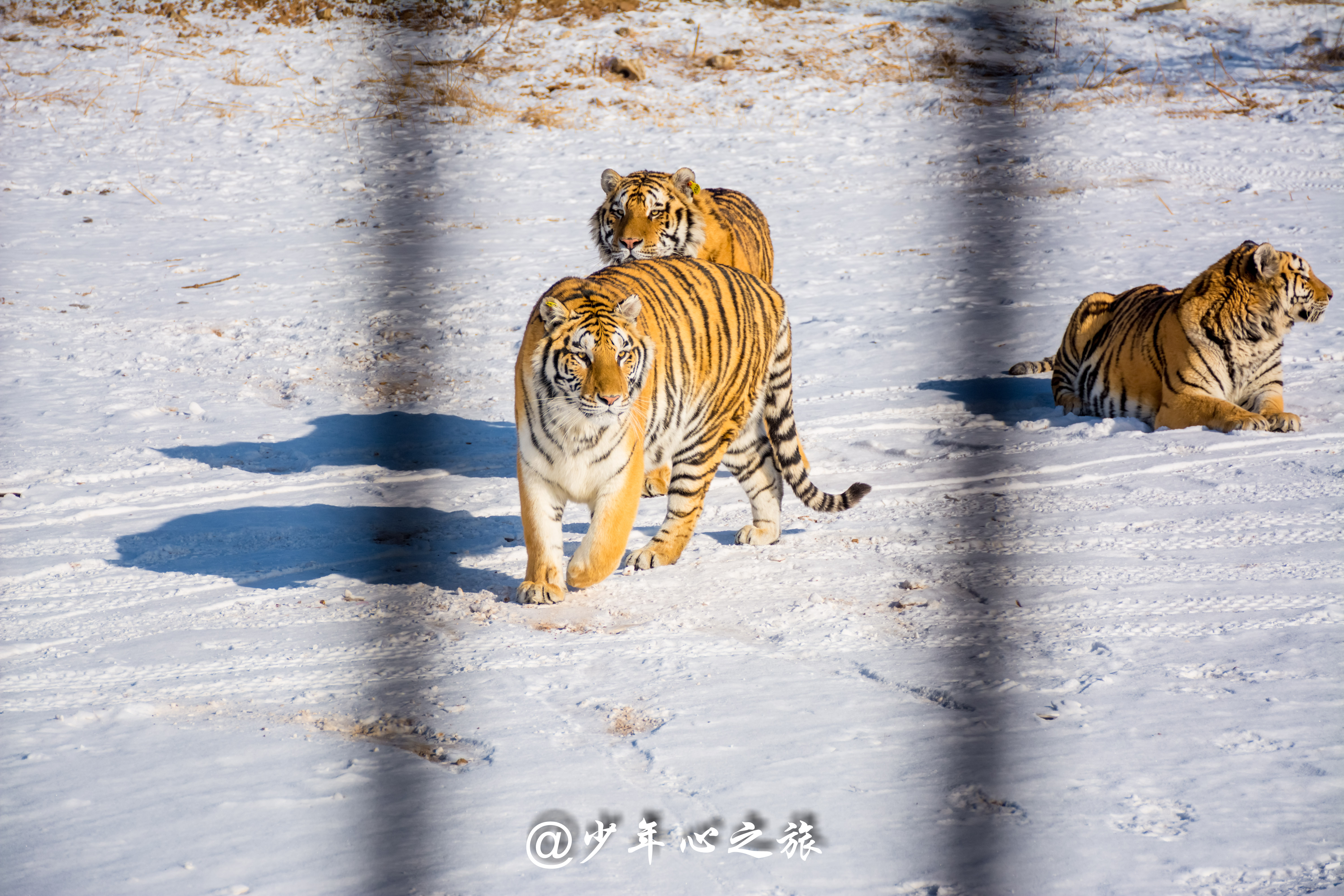 哈尔滨和沈阳旅游攻略,沈阳环湖游玩攻略