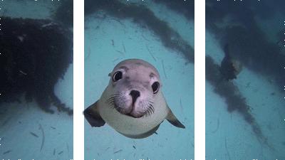 天价月嫂事件揭露,天价月嫂笔记曝光