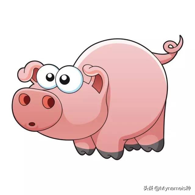 属相天命,十二属相的解析与分析