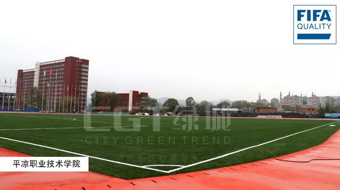 世界上最好的足球场草坪,世界海拔最高的球场