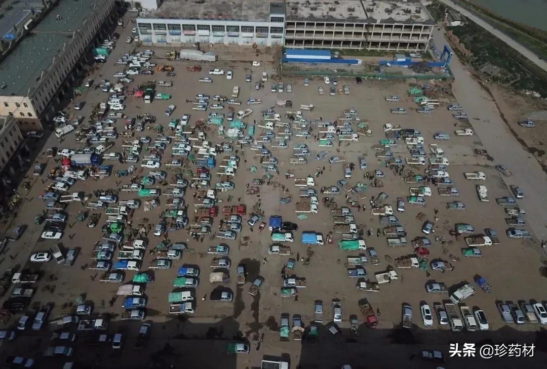 药材产地行情日报,2020年7月药材市场药材价格快讯