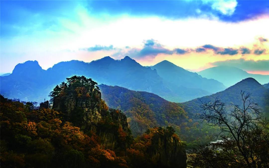 沈阳市新闻12月5日,沈阳新闻15日微博