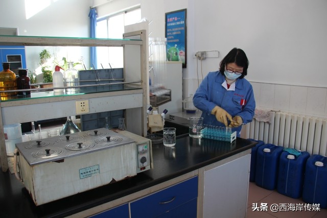 「城事」青岛琅琊台集团:开足马力赶制全球订单