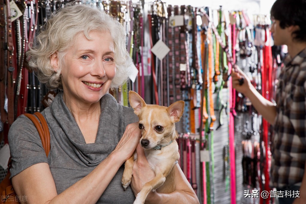 宠物行业如何线下线上协同发展,宠物行业的发展前景