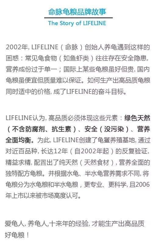 高冠变色龙饲养箱玻璃,高冠变色龙使用注意事项