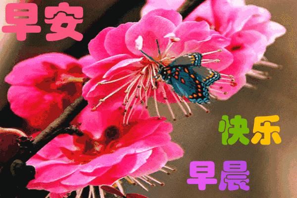 超漂亮的微信早上好祝福语,早晨好问候祝福语简短暖心