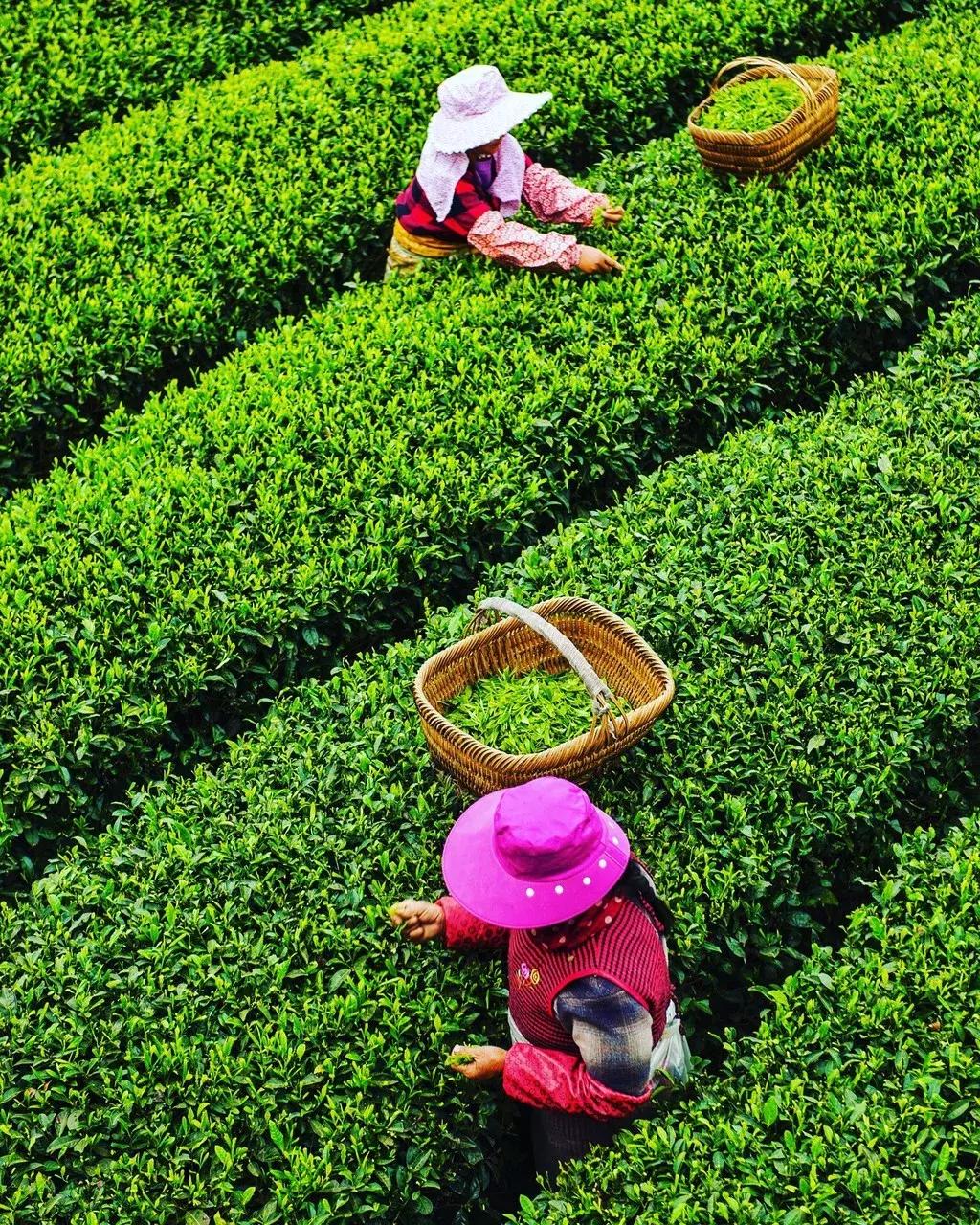 全国最宝藏的省,中国宝藏最多的省份