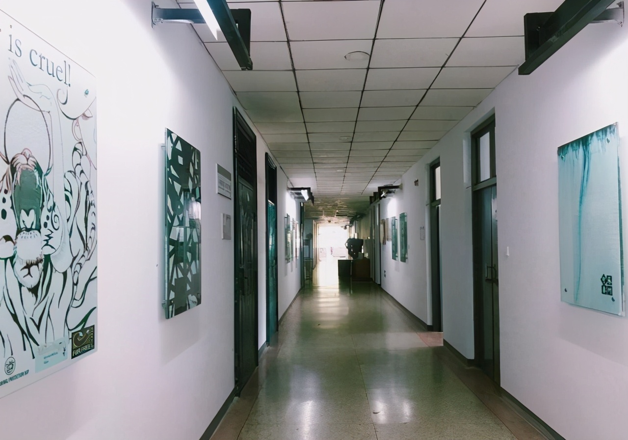 石家庄学院：一个拥有“别人家”图书馆的理想院校