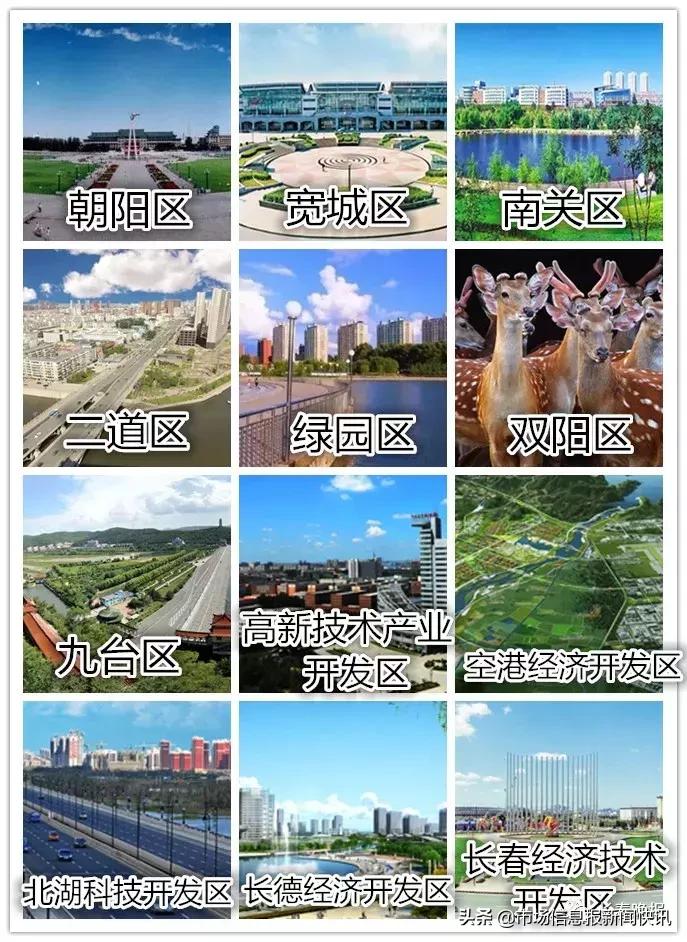 一封辞职信火遍长春,一封辞职信火遍整个日照