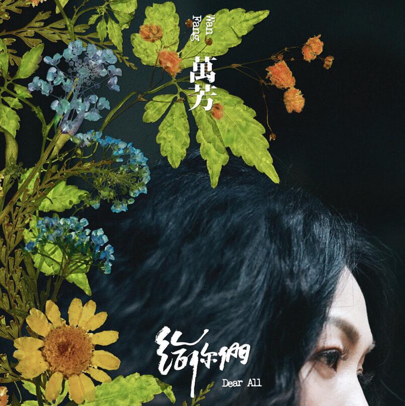 盘点后浪ost阵容歌曲,后浪唱的所有歌