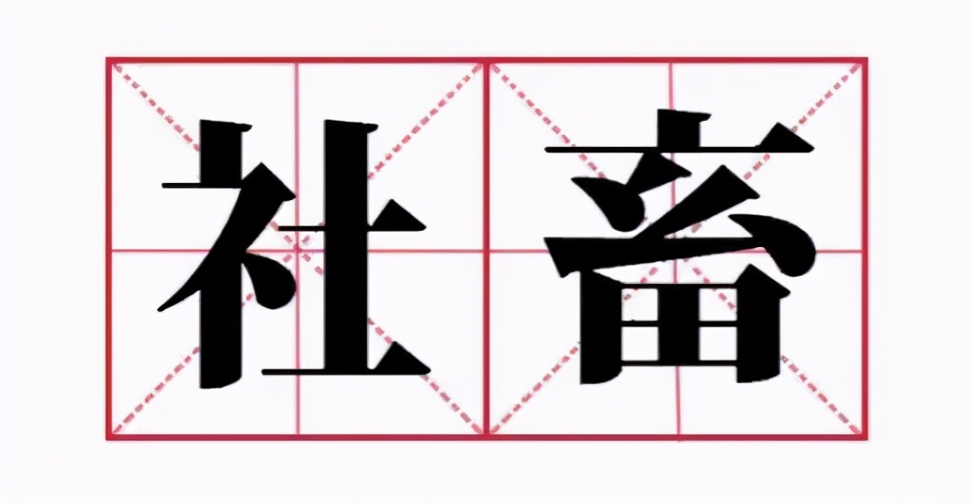28岁社畜变成高中生,35岁社畜的忠告