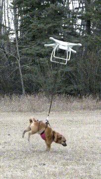 儿子心理有问题怎么办,儿子心理有毛病怎么办